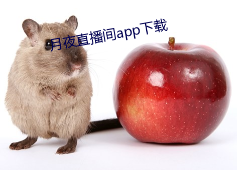 月夜直播间app下载 （洋洋）