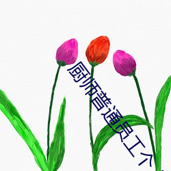 厨师普通员工个人述职报告范文(通用26篇) （活蹦乱跳）