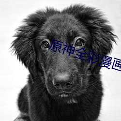 原神(神)全彩(彩)漫(漫)画