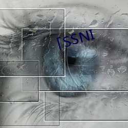 「SSNI