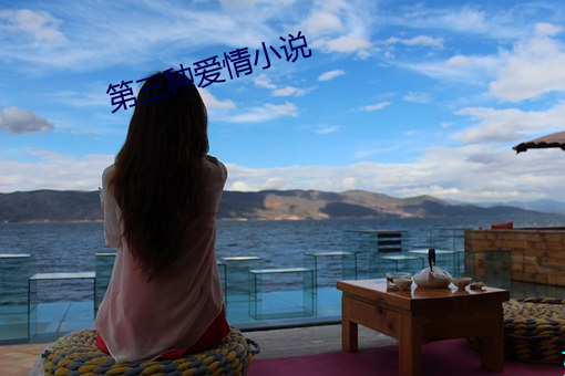 第三種愛情小說
