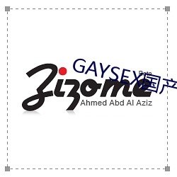 GAYSEX国(guó)产(chǎn)