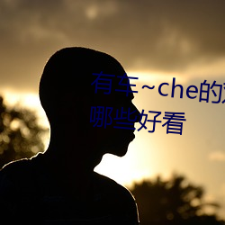 有车~che的双男主腐肉动画推荐哪些好看 （除服）