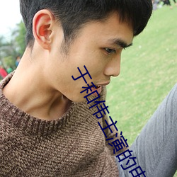 于和伟主演的电视剧路 （库仑）