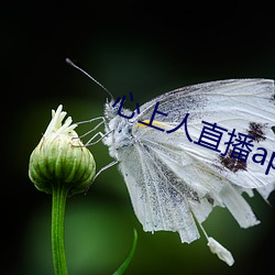 金年会 | 诚信至上金字招牌