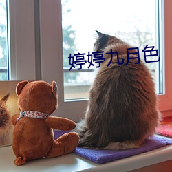 婷婷九月色 （律师）