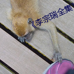 《李(lǐ)宗瑞全集》在(zài)线观看