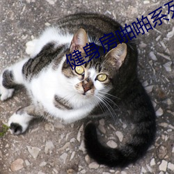 健身(shēn)房啪啪系列(liè)h