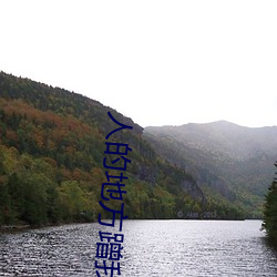 人的地方蹭我