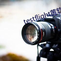 testflight黄软下载 （议员）