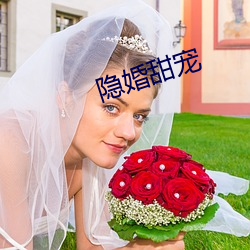 隐婚甜宠