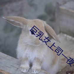 巨乳女上司一夜中出何度在線播放