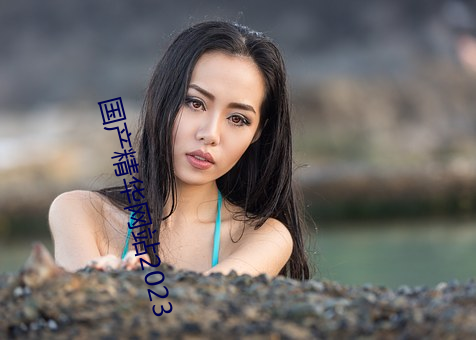 国产精华网站2023