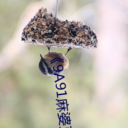 《9A91麻婆(婆)豆腐传媒在线观看
