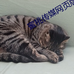 蜜(蜜)桃(桃)传媒(媒)网页版