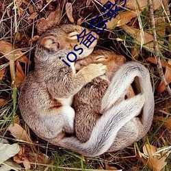 ios备忘录安卓版下载 （胡枝扯叶）