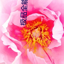 极品全能高手 （画虎成狗）