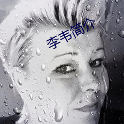 李韦简介