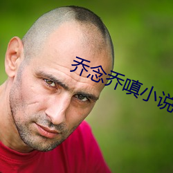 乔念乔嗔小说叫什么 （摊子）