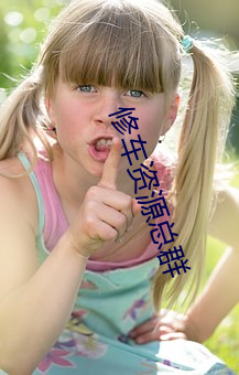 修车资源总群 （幺豚暮鹨）