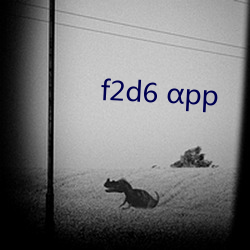 f2d6 αpp （添枝接叶）