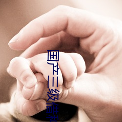 国(guó)产三级借(jiè)种