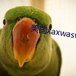 美國xaxwaswaskino