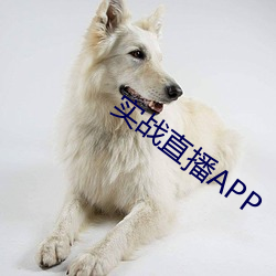 实战直播(bō)APP