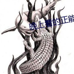 晚上看(kàn)的(de)正能量(liàng)视频网站