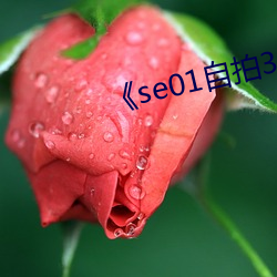 《se01自拍360