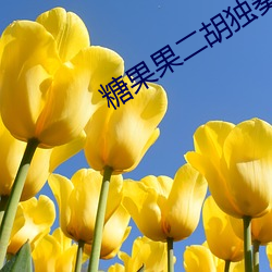 糖果果二胡獨奏人間第一情