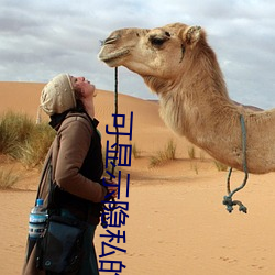 可顯示隱私的遊戲