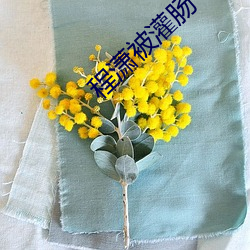 金年会 | 诚信至上金字招牌