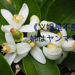 《义姐是不良妈妈授乳中 OVA義姉はヤンママ授乳中》日本动