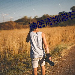 神(shén)医透视赌石