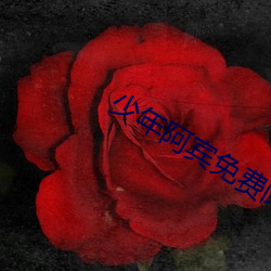 少年阿宾免费阅读