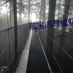 藏宝阁վ口 锦囊妙计