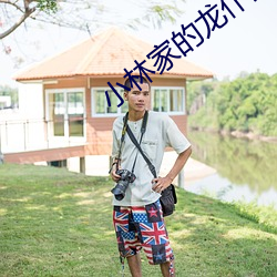 小(小)林家的龙仆第二季在线(線)观(觀)