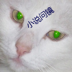 小说问(問)镜(鏡)