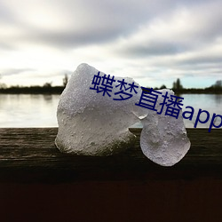 蝶梦直播app