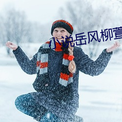 小说岳风柳(liǔ)萱