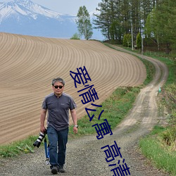 爱情公寓 高(gāo)清