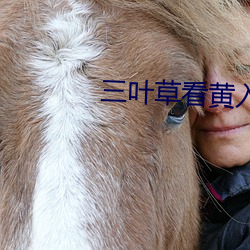 三叶草看黄入(入)口