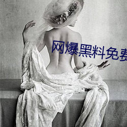 网爆黑料免(miǎn)费视频