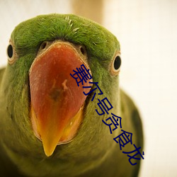 赛尔号贪食龙
