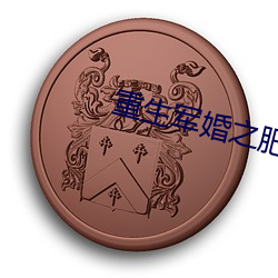 重生軍婚之肥妻翻身