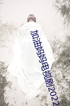 加油妈妈电视剧2022免费观看 （黑口）