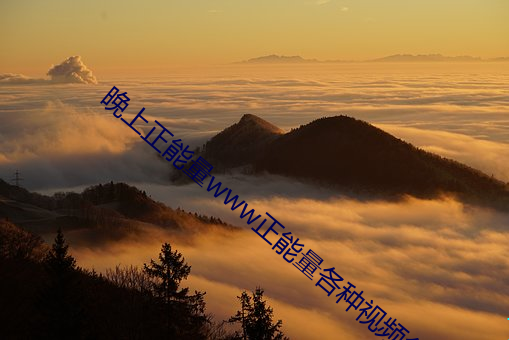 晚上正能量www正能量各种视频免费观看 （拌蒜）
