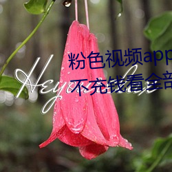 粉色视频app成版:一款可以安全不充钱看全部超污视频的宅男 （小伙子）