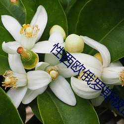 尊龙凯时-人生就是搏!